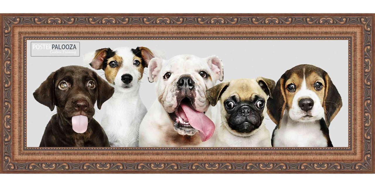8x24 Museum-Quality Picture Frame with UV-Resistant Acrylic & Acid-Free Backing, Available in 4 Finishes - Gold, Silver, Bronze, and Black
